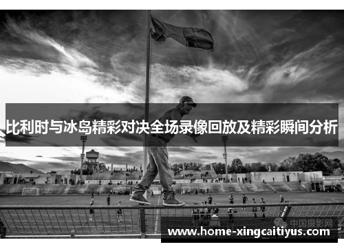 比利时与冰岛精彩对决全场录像回放及精彩瞬间分析