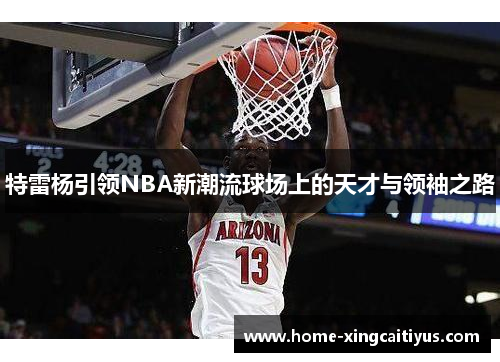 特雷杨引领NBA新潮流球场上的天才与领袖之路